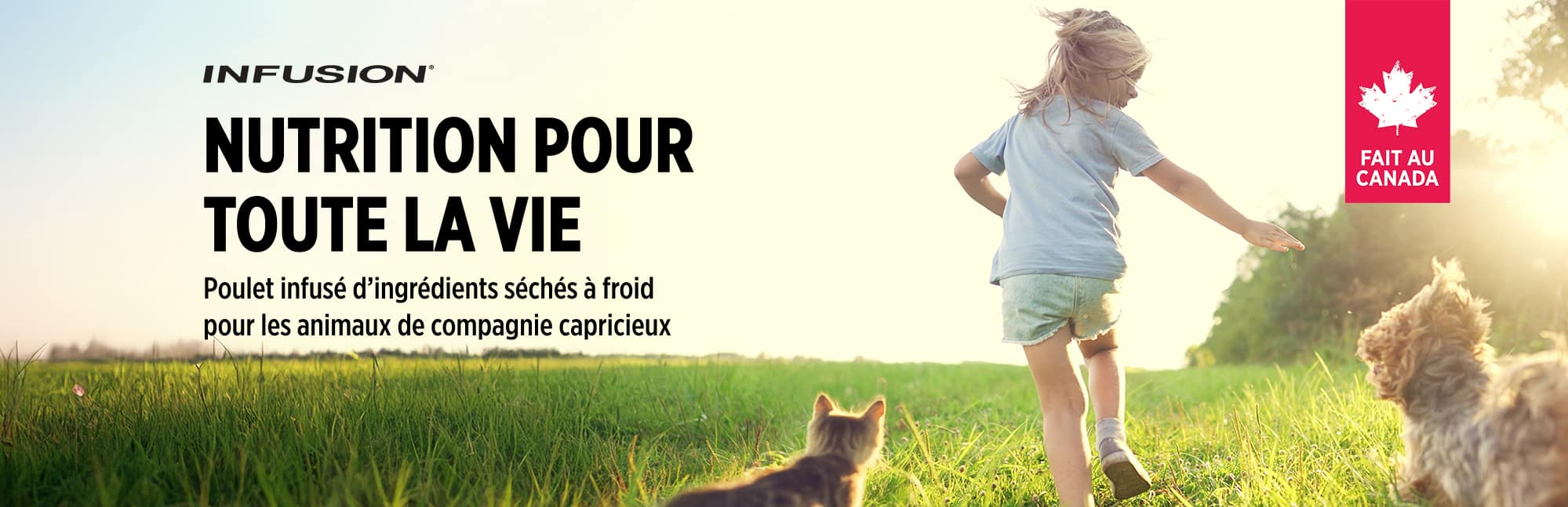 Nourriture pour chiens Nutrience Infusion