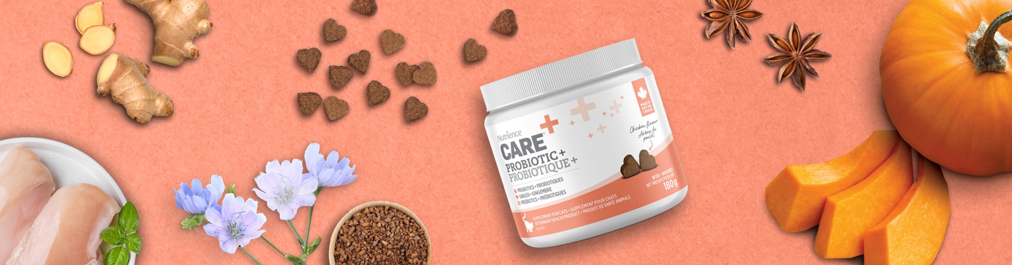 Supplément pour chats, Probiotique