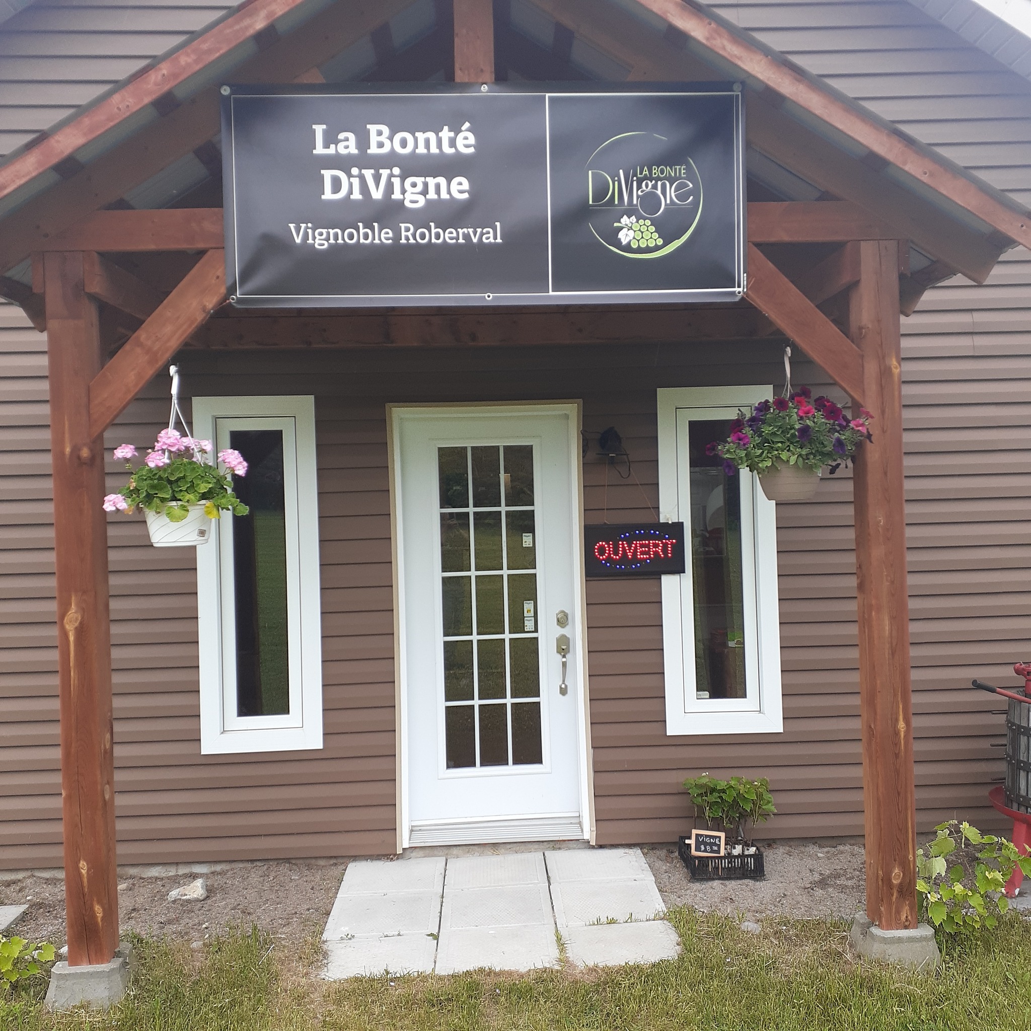 Vignoble La Bonte Divigne