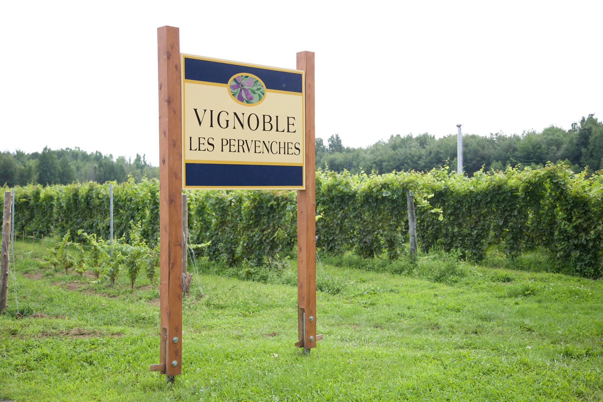 Vignoble Les Pervenches