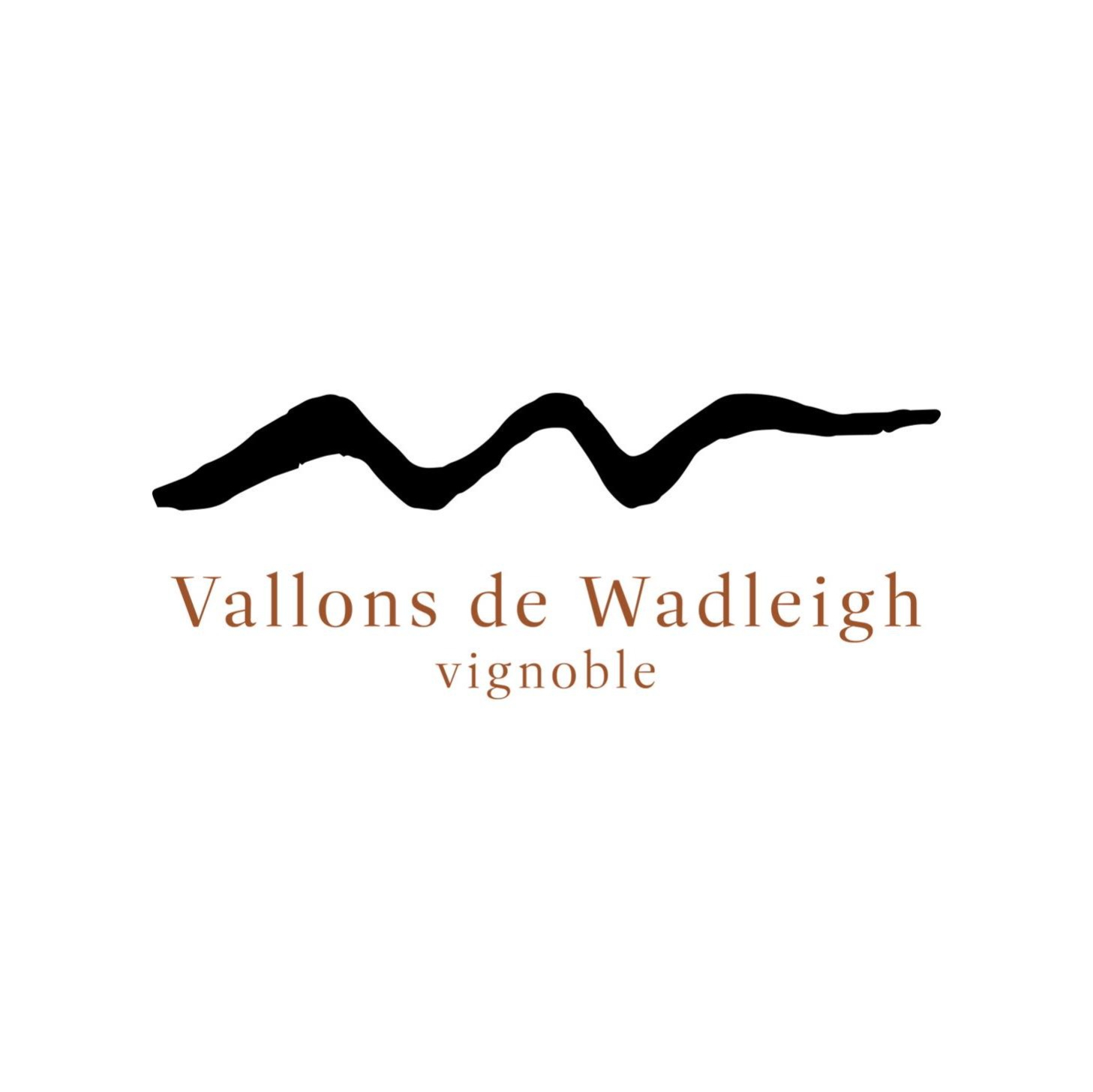Vignoble Les Vallons De Wadleigh