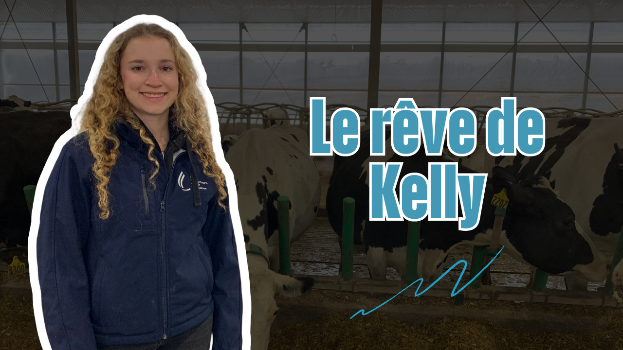 Ferme Drapeau & Bélanger